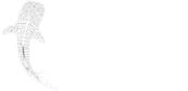 Kitu Kiblu Whale Shark Encounters on Mafia Island