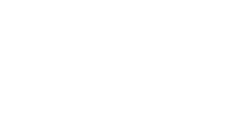 Kitu Kiblu Whale Shark Encounters on Mafia Island